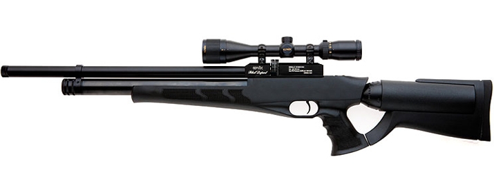 Evanix Black Leopard Airgun User Reviews AirRifleReviews Evanix Black Leopard Airgun User Reviews AirRifleReviews