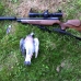 Air Arms S410 carbine hunting modified barrel Air Arms S410 carbine hunting modified barrel